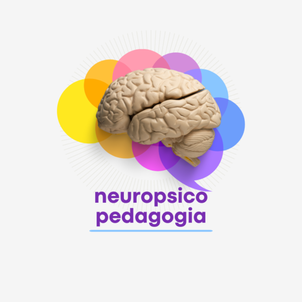 Neuropsicopedagogia